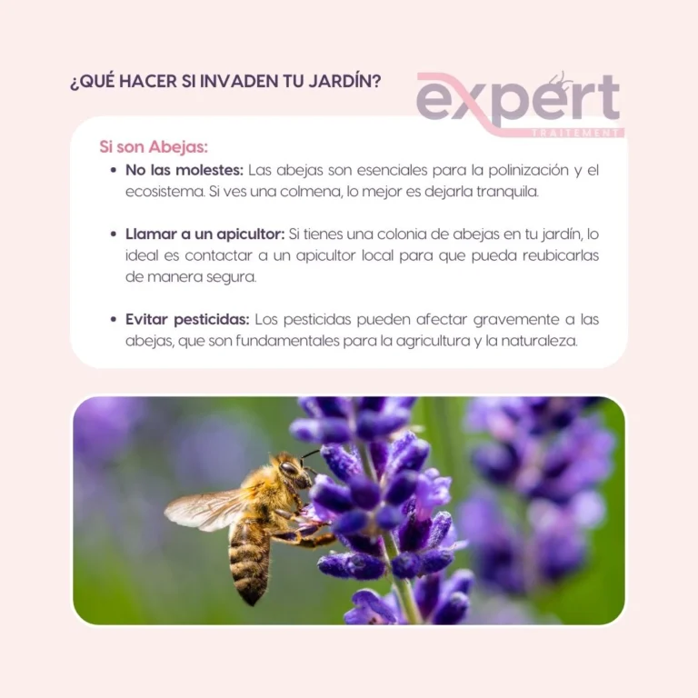 Instagram post from expert_traitement. This post is in position 2.
