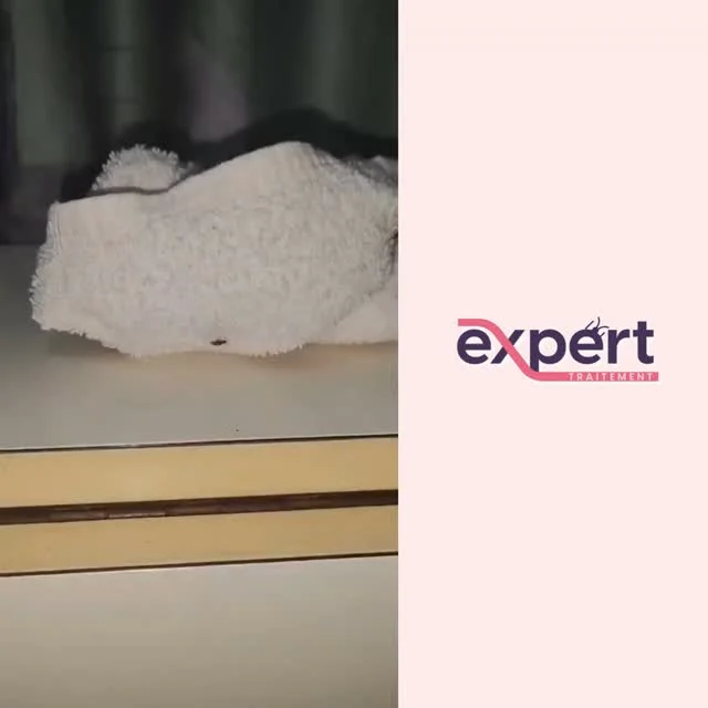 Instagram post from expert_traitement. This post is in position 2.