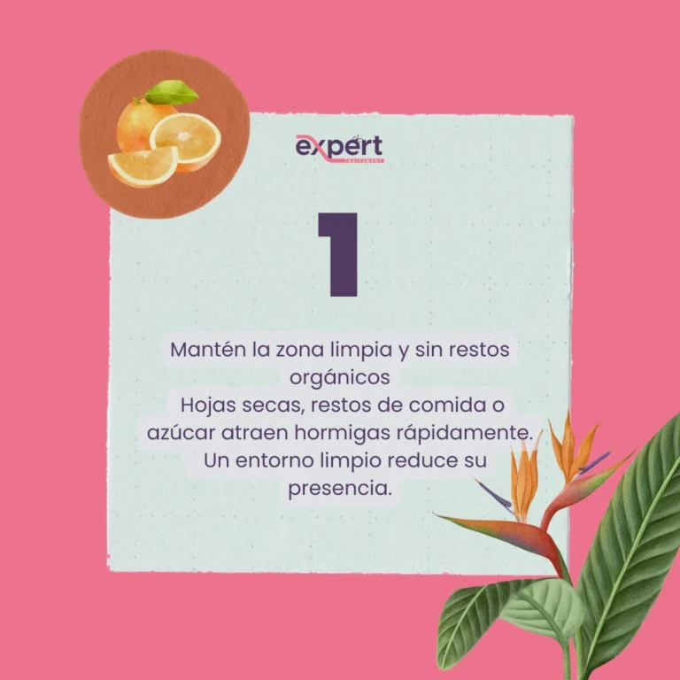 Instagram post from expert_traitement. This post is in position 1.