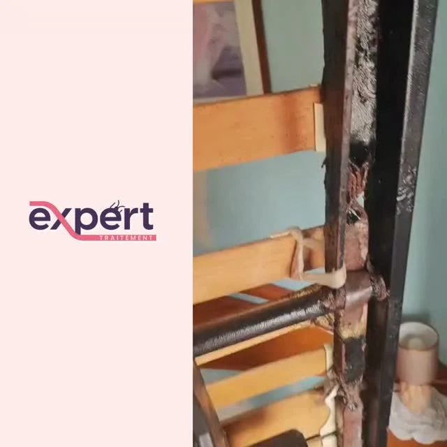 Instagram post from expert_traitement. This post is in position 1.