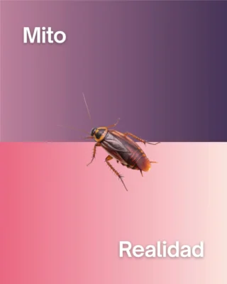 Instagram post from expert_traitement. This post is in position 6.