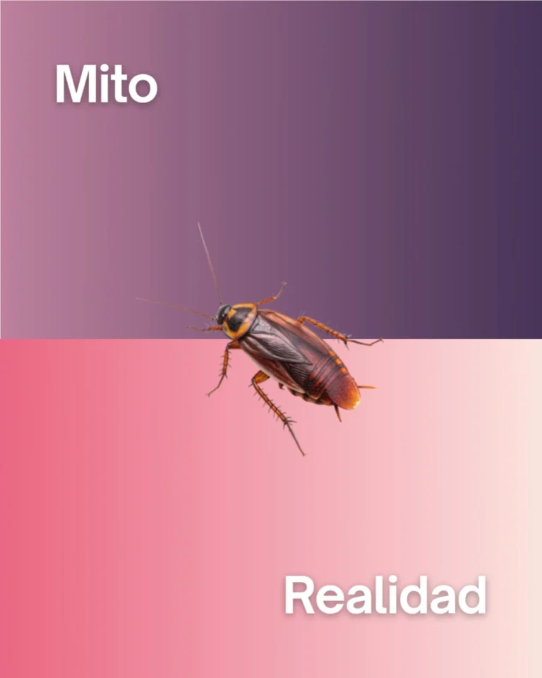 Instagram post from expert_traitement. This post is in position 5.