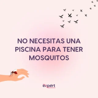 Instagram post from expert_traitement. This post is in position 1.