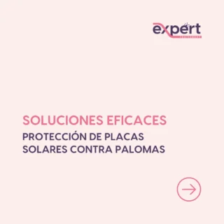 Instagram post from expert_traitement. This post is in position 1.