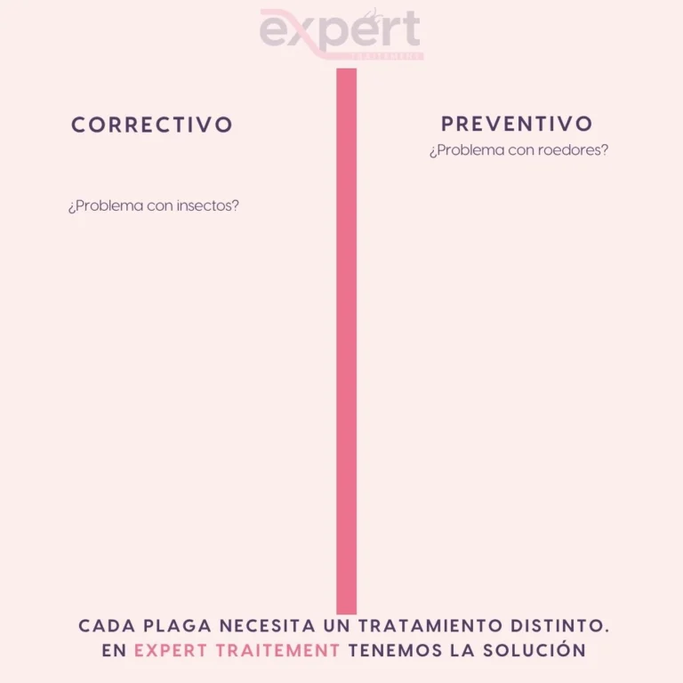 Instagram post from expert_traitement. This post is in position 1.