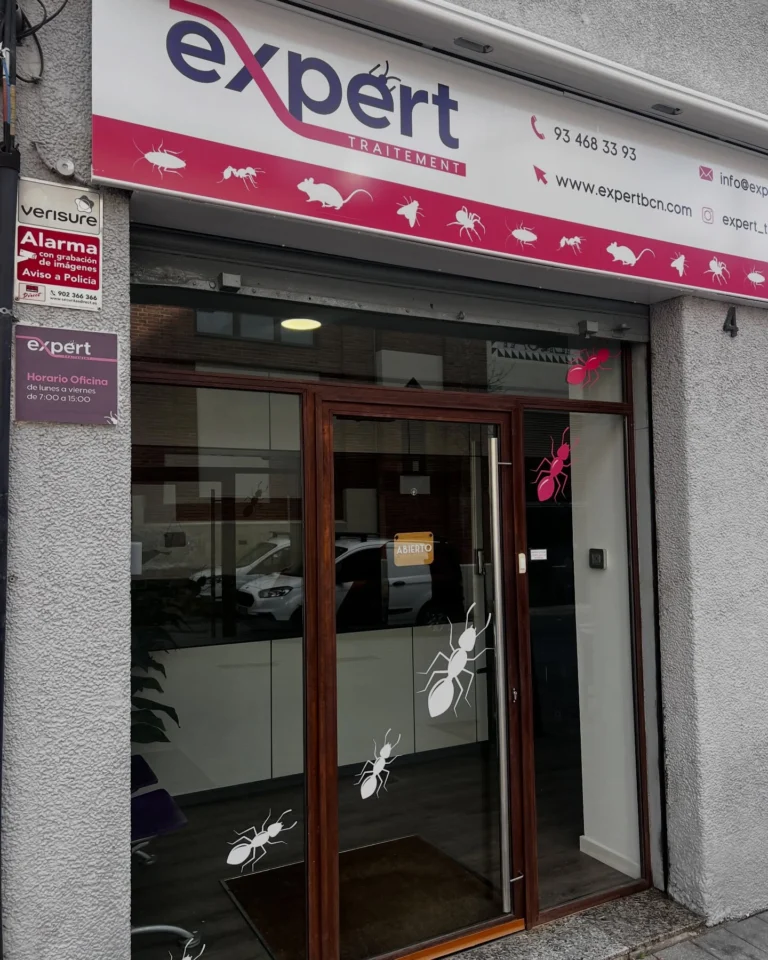 Instagram post from expert_traitement. This post is in position 4.